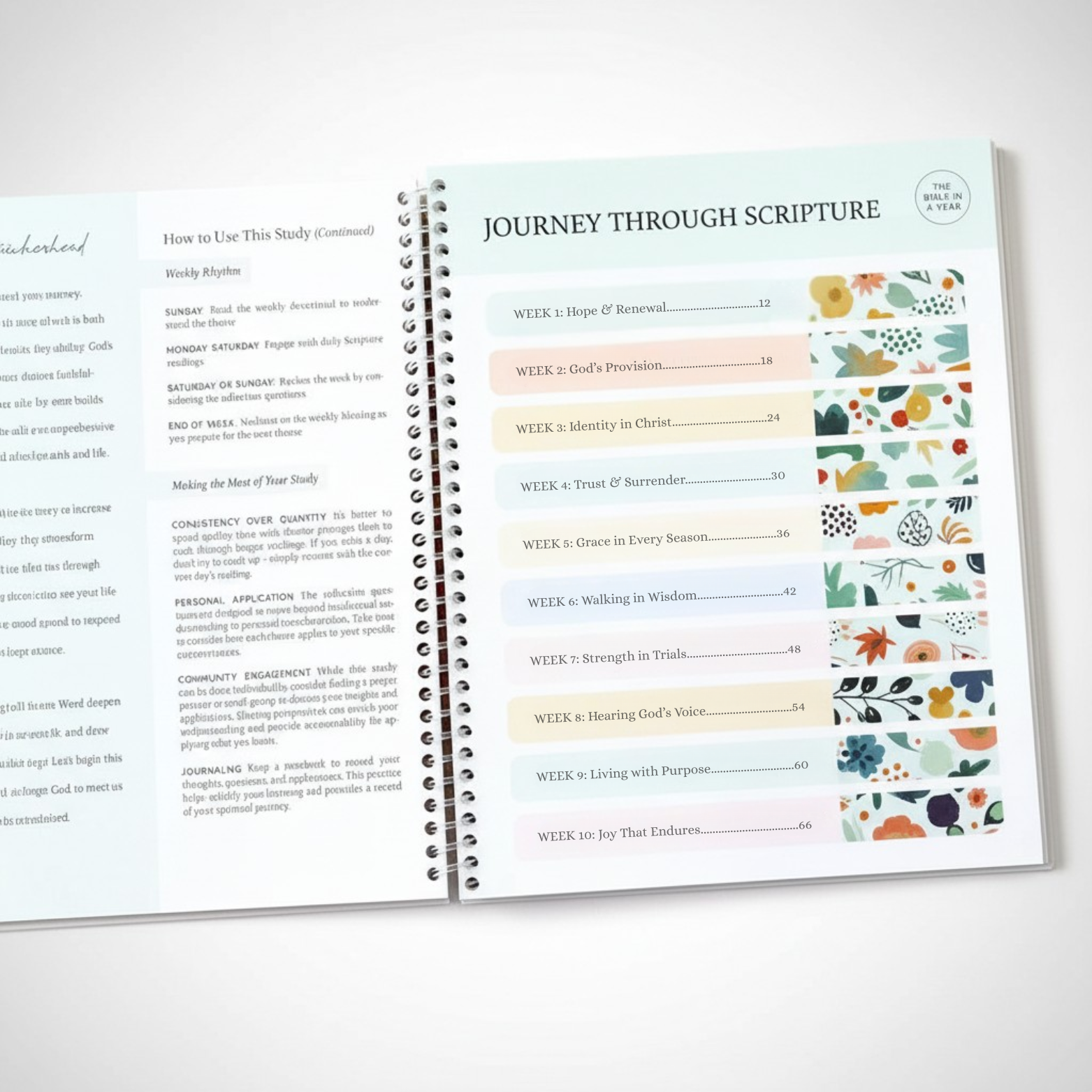 The Bible In A Year: 52-Week Study